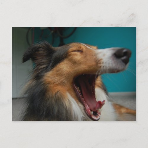 Roaring Dog Postcard