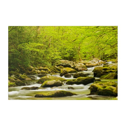 Roaring Fork in Spring Acrylic Print