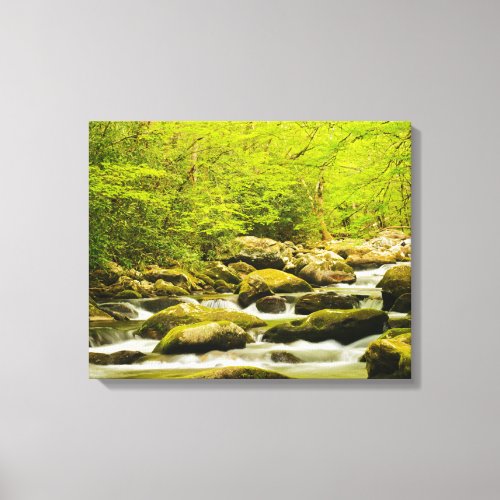 Roaring Fork in Spring Canvas Print