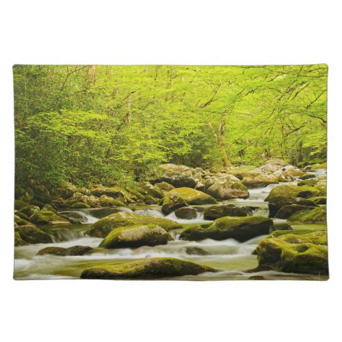 Roaring Fork in Spring Cloth Placemat