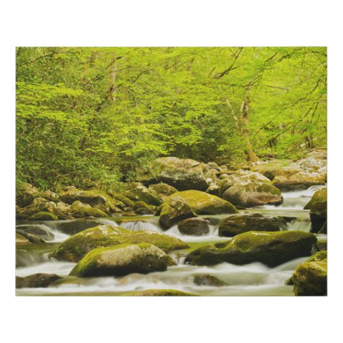 Roaring Fork in Spring Faux Canvas Print