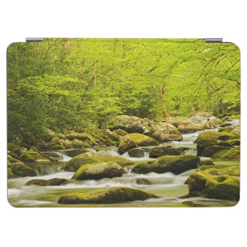 Roaring Fork in Spring iPad Air Cover