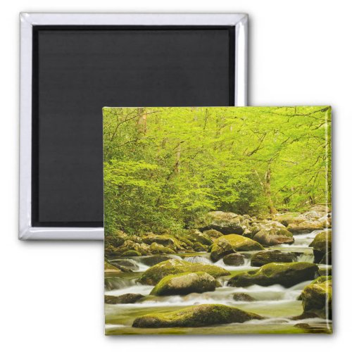 Roaring Fork in Spring Magnet