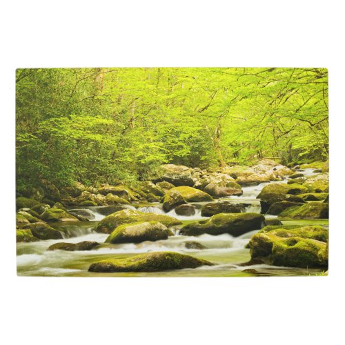 Roaring Fork in Spring Metal Print