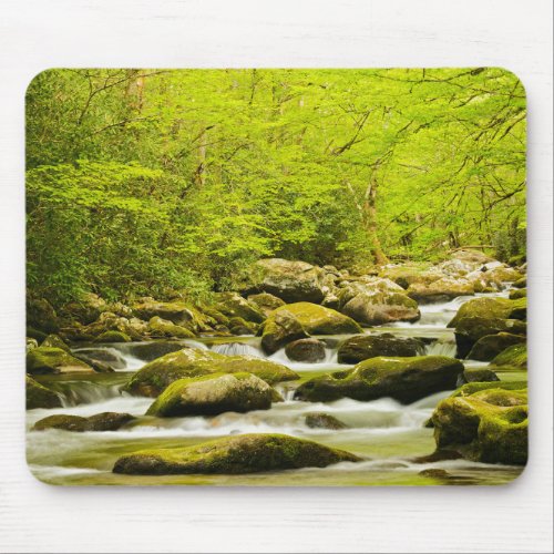 Roaring Fork in Spring Mouse Pad