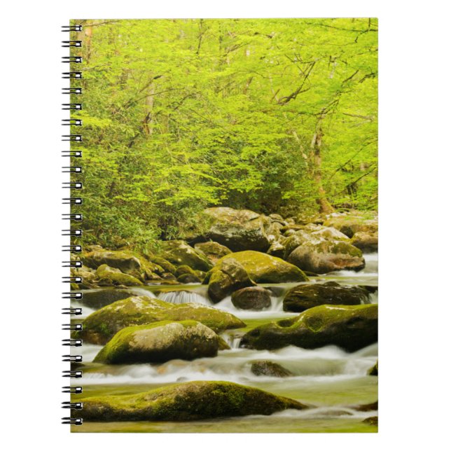 Roaring Fork in Spring Notebook (Front)