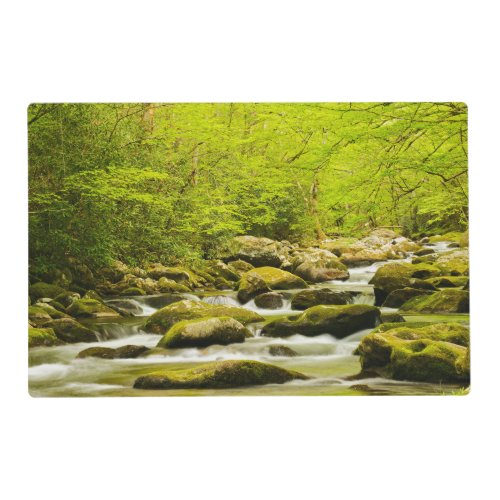 Roaring Fork in Spring Placemat