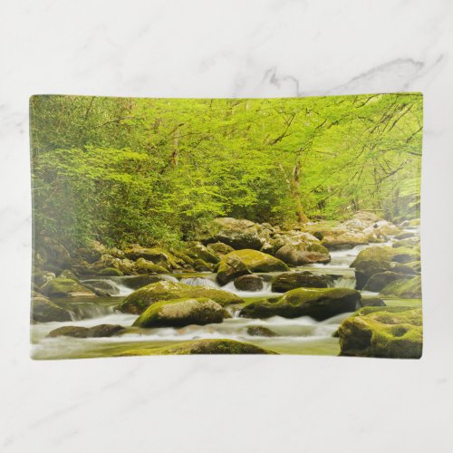 Roaring Fork in Spring Trinket Tray