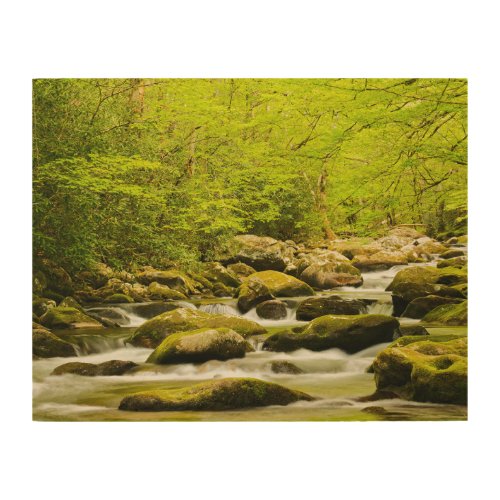 Roaring Fork in Spring Wood Wall Art