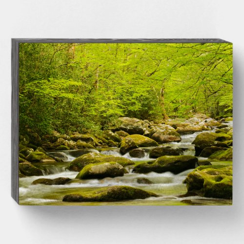 Roaring Fork in Spring Wooden Box Sign