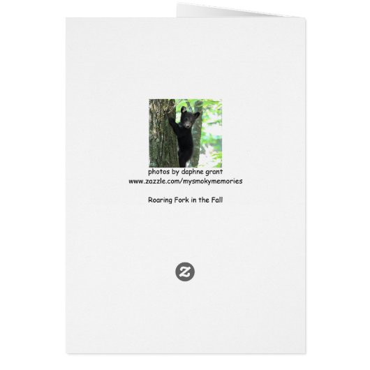 Roaring Fork in the Fall Cards (Back)