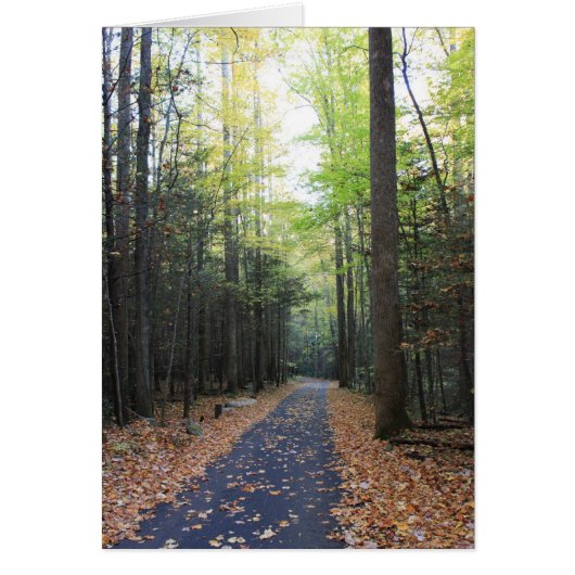 Roaring Fork in the Fall Cards (Front)