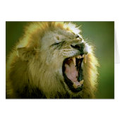 Roaring Lion (Front Horizontal)