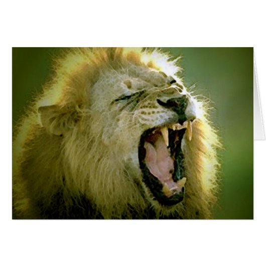 Roaring Lion Cards (Front Horizontal)