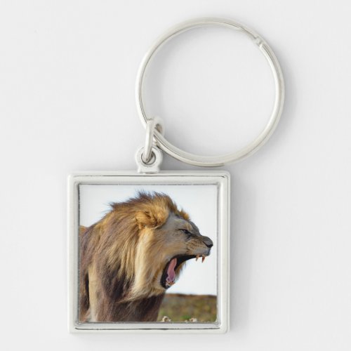 Roaring lion full of teeth   keychain