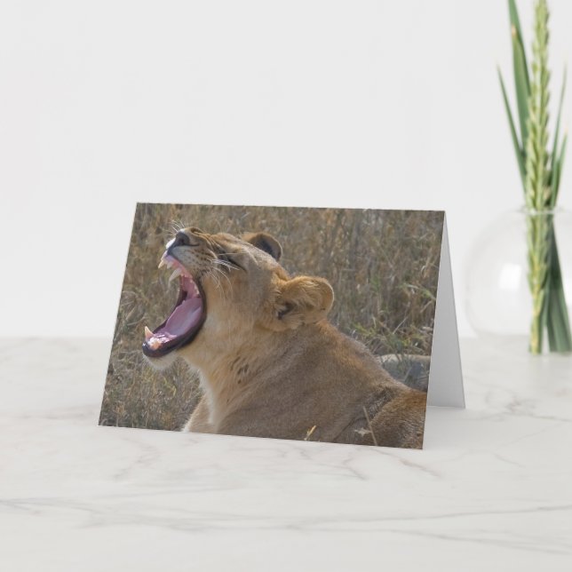 Roaring lion greeting card (Front)