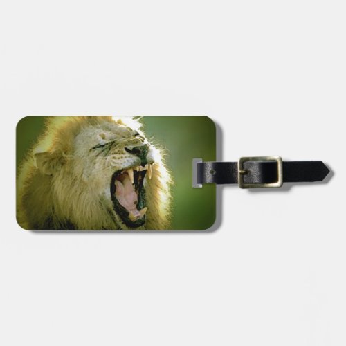 Roaring Lion Luggage Tag
