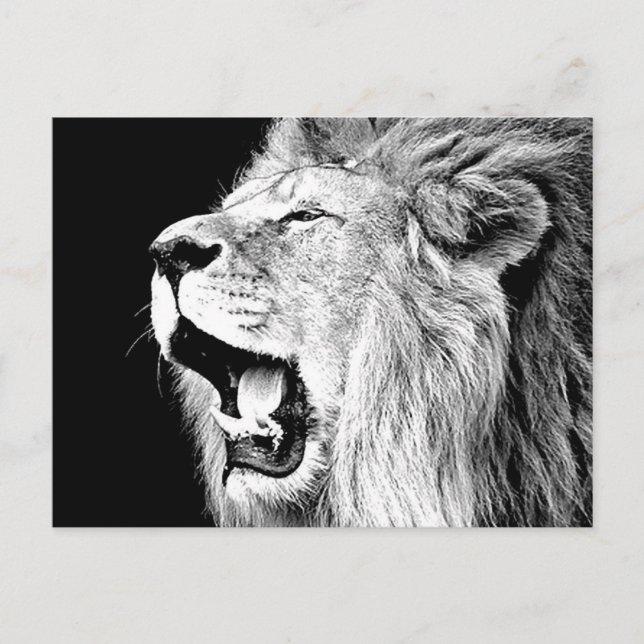 Roaring Lion Postcard (Front)