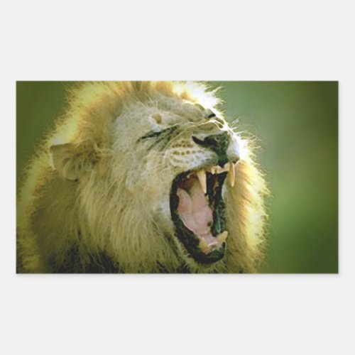 Roaring Lion Rectangle Stickers