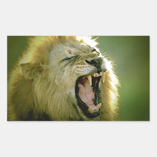 Roaring Lion Rectangular Sticker