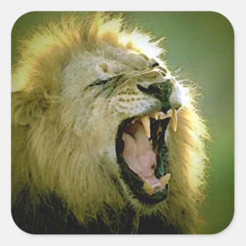 Roaring Lion Square Sticker