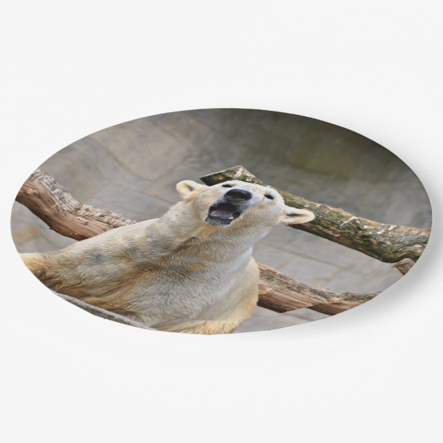 Roaring Polar Bear Scene Paper Plates (Angled)
