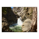 Roaring River Falls at Kings Canyon National Park