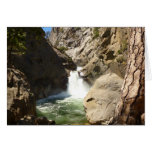Roaring River Falls at Kings Canyon National Park Cards