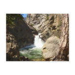 Roaring River Falls at Kings Canyon National Park Postcard