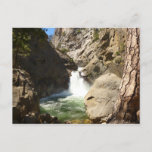 Roaring River Falls at Kings Canyon National Park Postcard