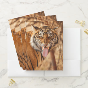 Roaring Tiger Pocket Folder