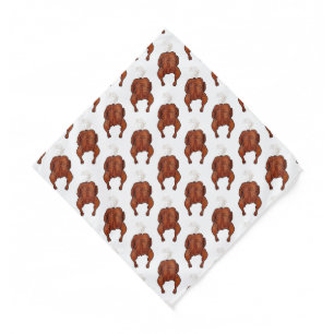 Roast chicken cartoon illustration  bandana