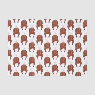 Roast chicken cartoon illustration tissue paper