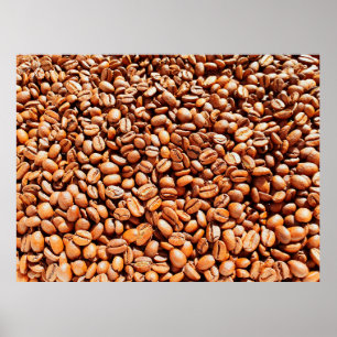 roasted aromatic coffee beans in sunlight, coffee poster