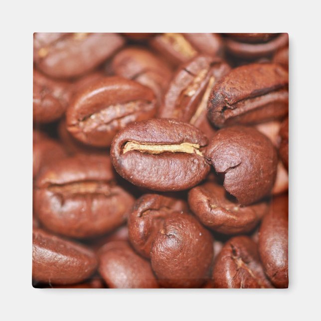 Roasted Coffee Beans Magnet (Front)