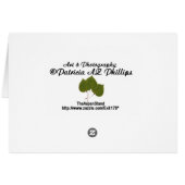 Roasted Coffee Beans With Silver Scoop Photograph Cards (Back Horizontal)