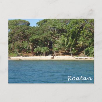 Roatan  Honduras Postcard by addictedtocruises at Zazzle