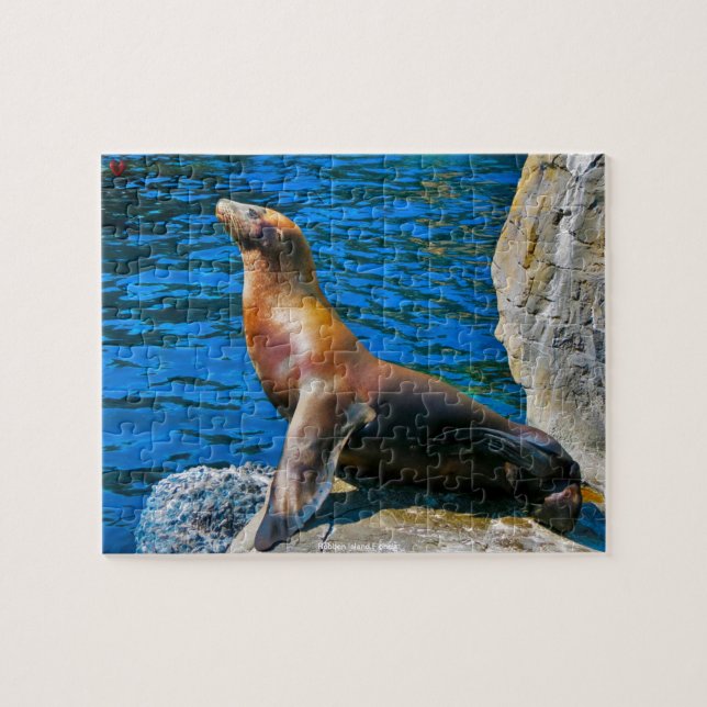 Robben Island Florida Jigsaw Puzzle (Horizontal)