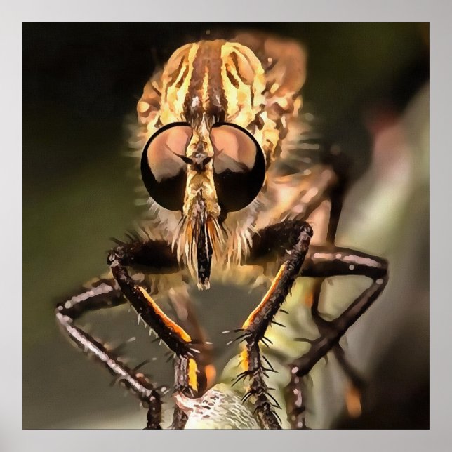 Robber Fly Profile Asildae Artistic Close Up  Poster (Front)