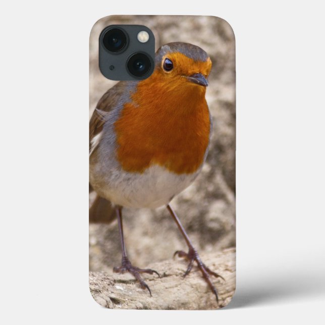 Robbie Robin iPad Case (Back)