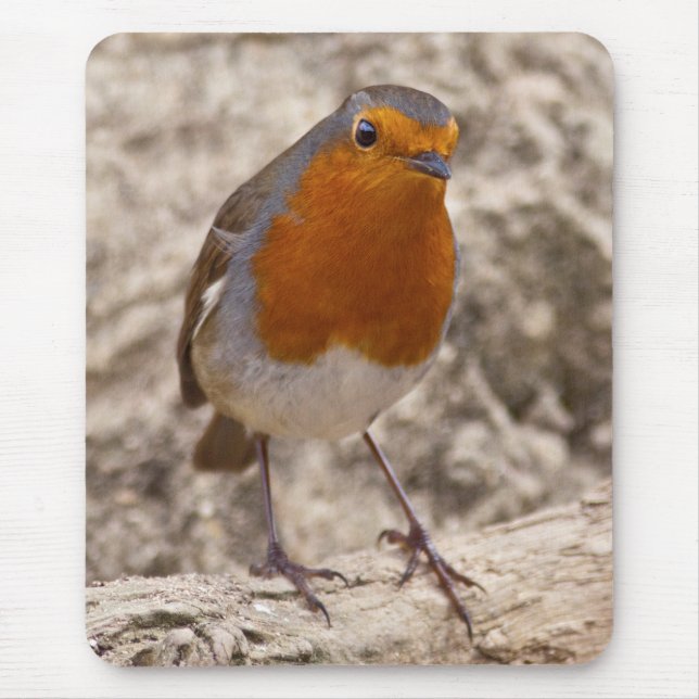 Robbie Robin Mousemat Mouse Pad (Front)