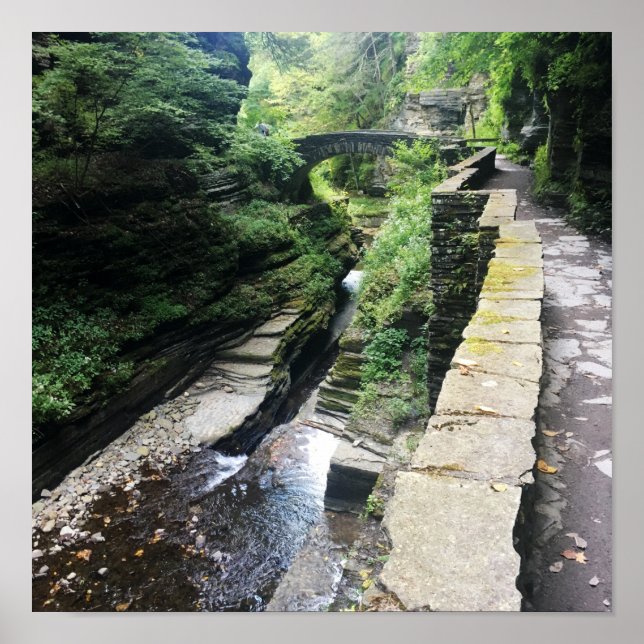 robert h. treman state park bridge poster (Front)