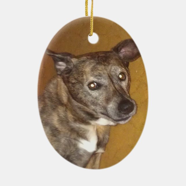 Robert Hoynes Tribute Ornament #6 (Back)