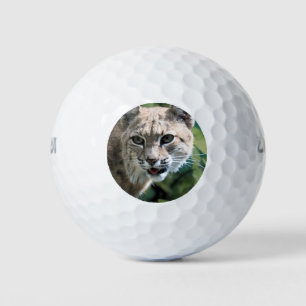 Robert J.Bobcat Golf Balls