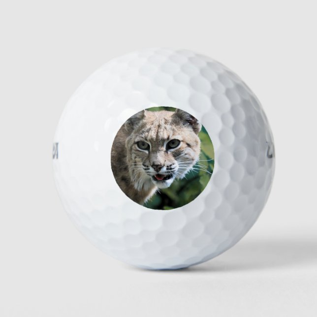 Robert J.Bobcat  Golf Balls (Front)