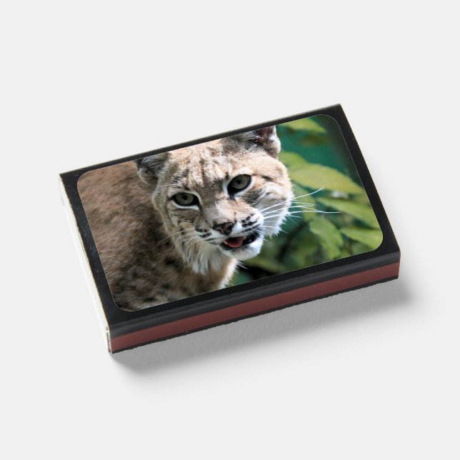 Robert J.Bobcat Matchboxes (Front Closed)