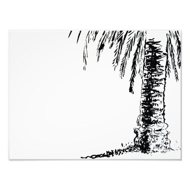 Roberts Tree Photo Print (Front)