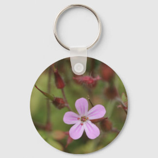 robertskruid keychain