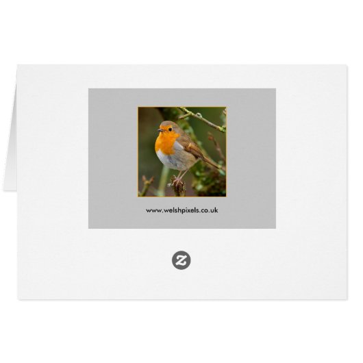 Robin (Back Horizontal)