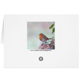 Robin (Back Horizontal)